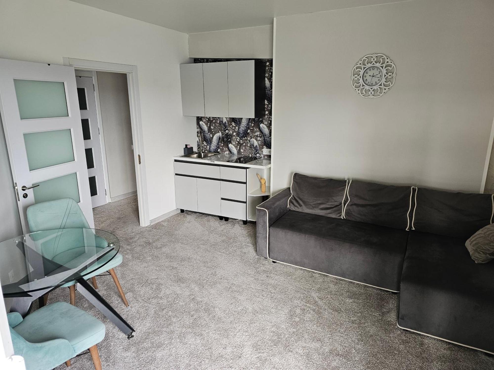 Apartament With Terras Kisinyov Kültér fotó